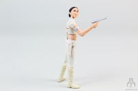 Star Wars The Black Series Padmé Amidala #01