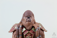 Star Wars The Black Series Merumeru #15