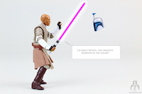 Mace Windu When No One is Looking