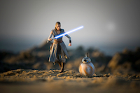 Featured Photographer - Christopher Lynch*