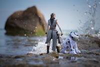 Featured Photographer - Christopher Lynch*