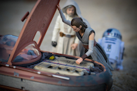 Featured Photographer - Christopher Lynch*