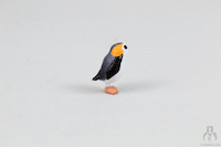 Porg