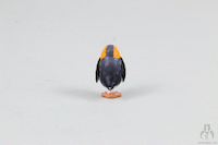 Porg
