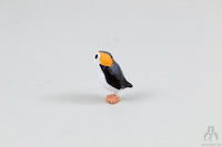 Porg