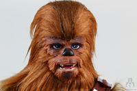 Star Wars Forces of Destiny Chewbacca and Porgs (SDCC 2018)
