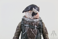 Star Wars Rogue One Shoretrooper Captain vs. Bistan