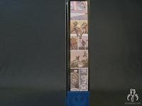 Star Wars Shadows Of The Dark Side Darth Maul & Owen Lars SDCC '10