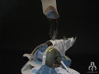 Star Wars Shadows Of The Dark Side The Rise Of Boba Fett