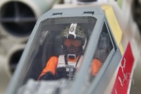 Grizz Frix (Red Five)