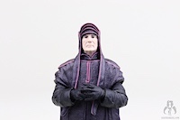 Star Wars Star Wars 'Saga' Phase 2 Imperial Dignitary Janus Greejatus 03-35