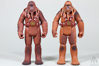 Wookiee Warrior [Light fur]