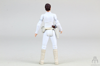 Padmé Amidala - Senator of Naboo