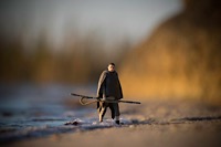 Featured Photographer - Christopher Lynch*