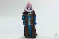 Bib Fortuna