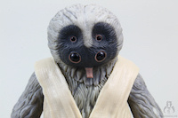 Star Wars The Saga Collection Foul Moudama 029