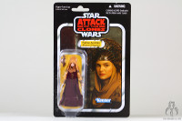 Star Wars Vintage Collection Padme Amidala (Peasant Disguise) VC33