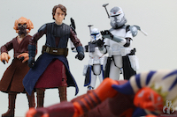 Clone Commander Wolffe