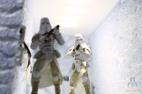 Imperial Snowtrooper