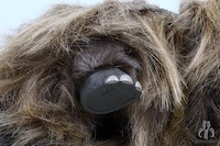 Vintage Collection Bantha