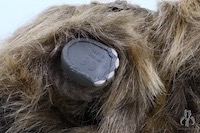 Vintage Collection Bantha