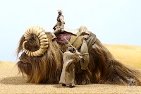 Bantha 