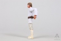 VC344A Luke Skywalker (Tatooine)