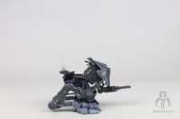 VC Imperial Remnant AT-RT