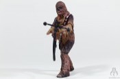 https://www.banthaskull.com/images/archive_preview/vc141_chewbacca_12.jpg