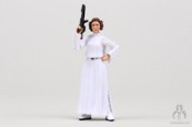 https://www.banthaskull.com/images/archive_preview/vc316_pricness_leia_organa_03_th.jpg