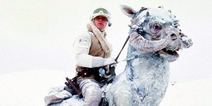 https://www.banthaskull.com/images/news/tauntaun.jpg